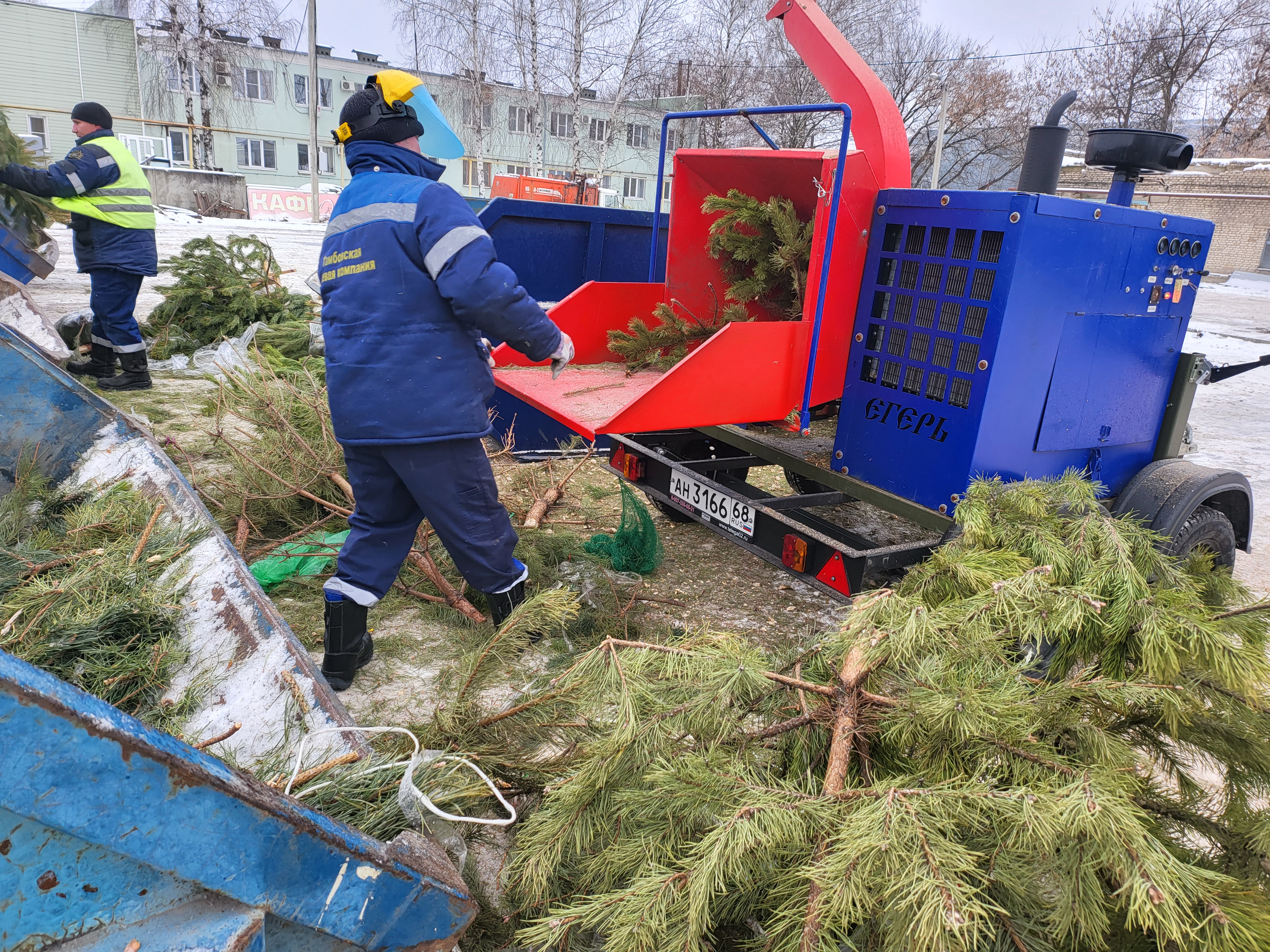 "Тамбовская сетевая компания" отправила на ипподром более 150 кубометров новогодних ёлок